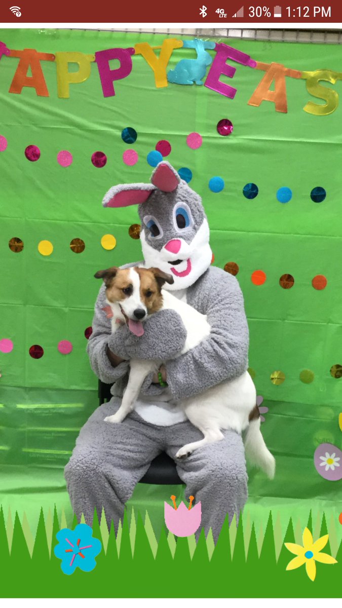 PetSmart Mandeville tweet media