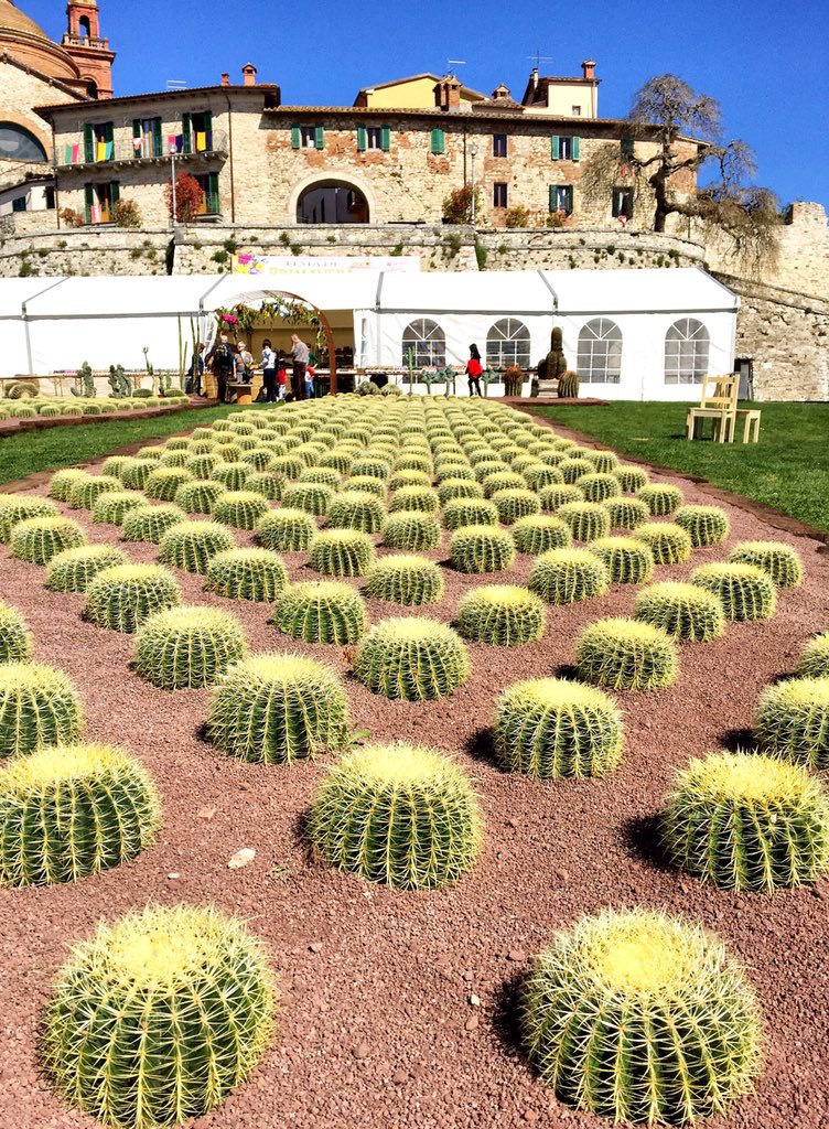 Festa di Primavera a Castiglione del Lago in #umbria