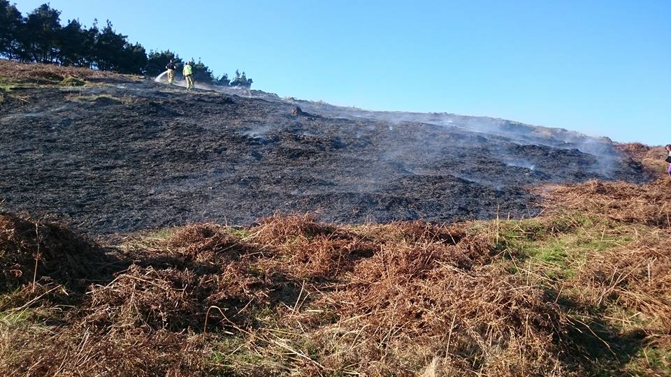 BradgatePark's tweet photo. A reminder of the devastation fire can cause. We don't know if it was a BBQ or cigarette but the result is the same.Sad sunny day #becareful https://t.co/LMCa7I9Z3D