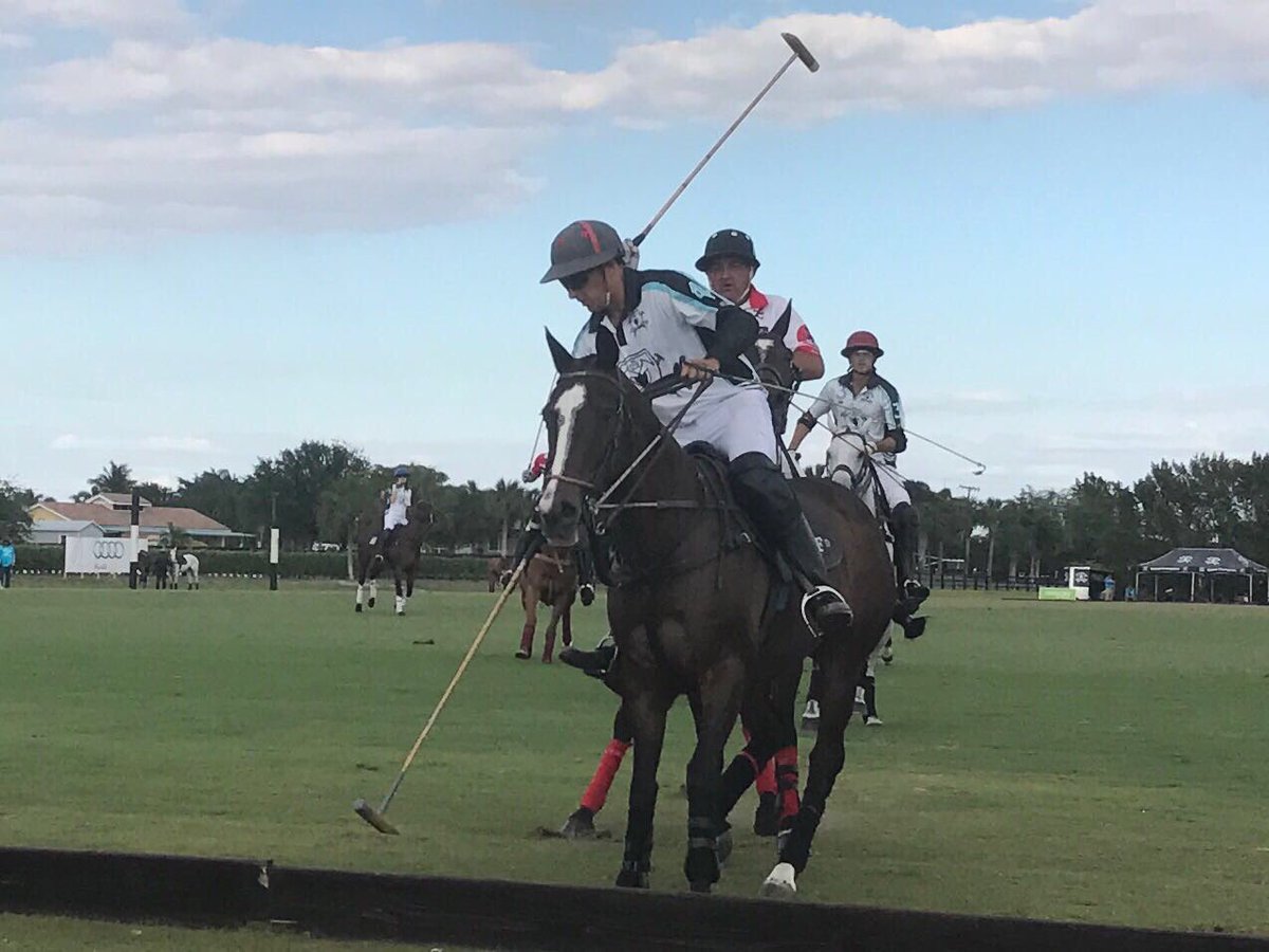 Pololine's tweet photo. Action @GrandChampions_ for the 100k #worldcup #sansaba v #deeridge #pololineinusa https://t.co/llVvjbQ1Lq