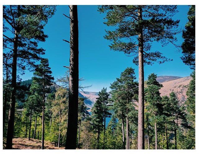 neelyg2's tweet photo. Great day for our first adventure race today, 41k of running, cycling and a little kayaking through Glendalough 🙌🏼 #QuestAdventure https://t.co/61ndLYHHe8