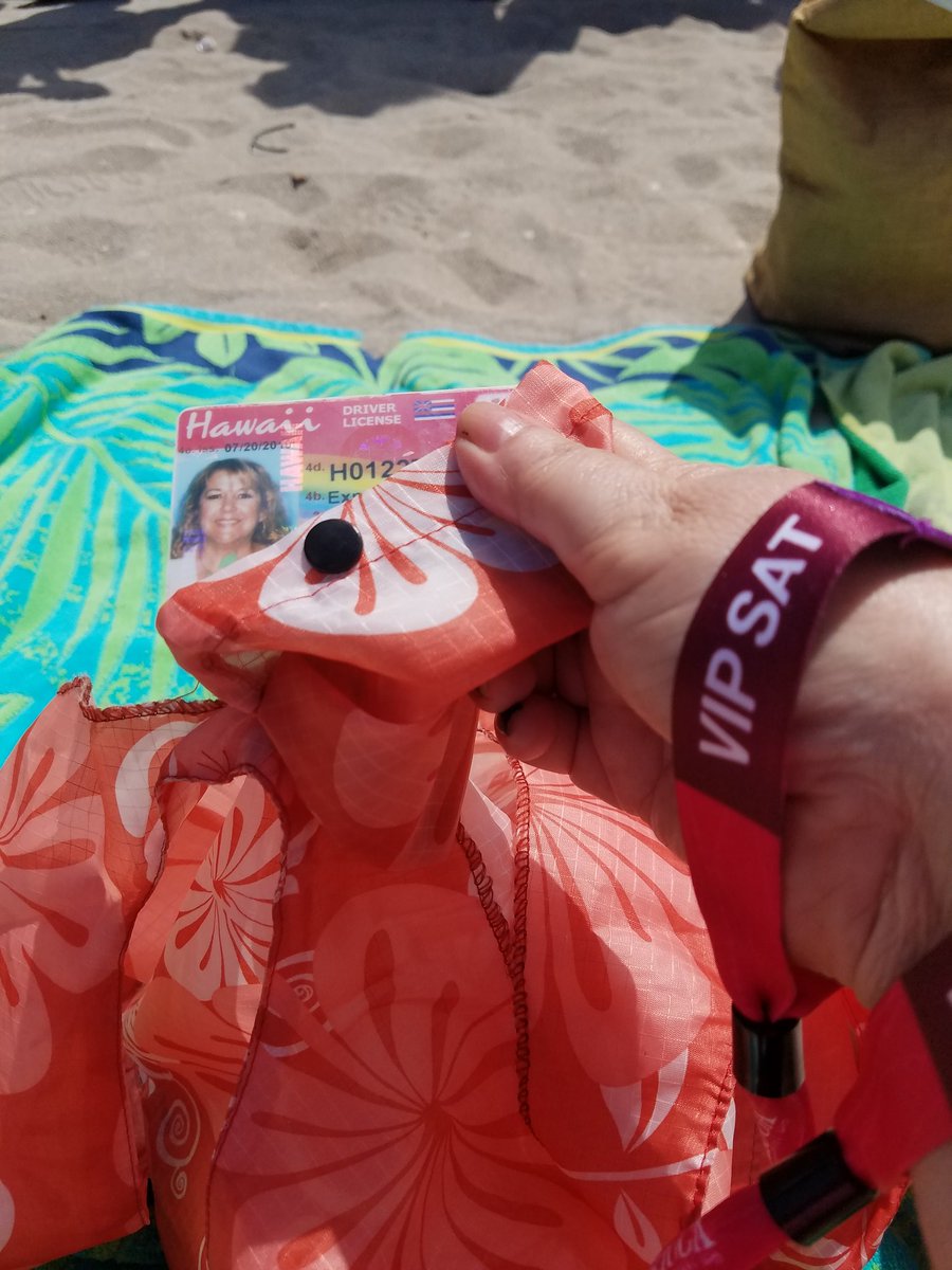 Who flew the furthest for #TortugaFest? 

Straight outta Oahu.   #hilife