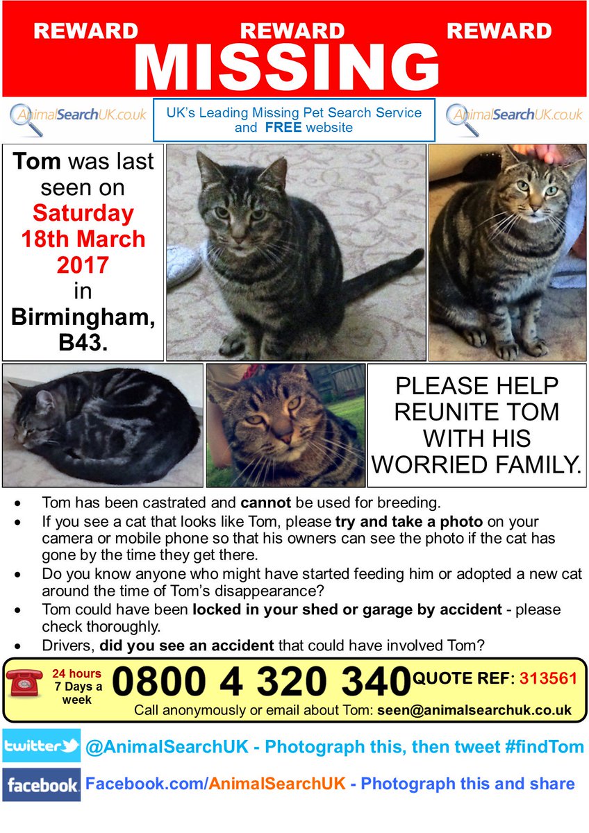 AnimalSearchUK's tweet photo. PLZ RT @birminghammail @VetsforPets #missingcat #birmingham #b43 #findtom
https://t.co/UYMfMvXWK2 https://t.co/zrR4vgqXx7