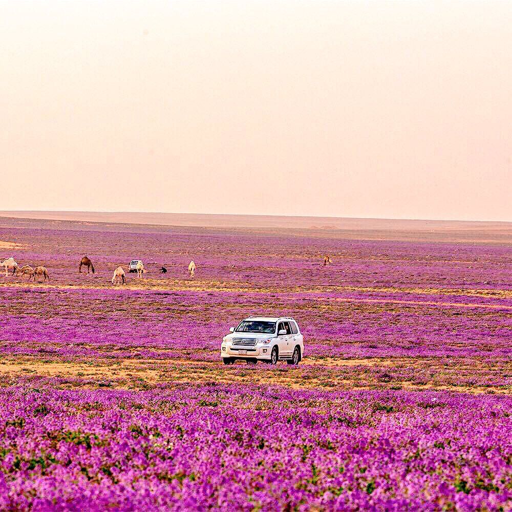 👔

الحرية ليست حجاب يُرمى.. 
 ولا دين يشتم ولا أخلاق تُخلع
الحرية رقي فكر واحترام عقل..
وبناء مستقبل جميل
وعقيدة تتمسك وتعتزّ بها
