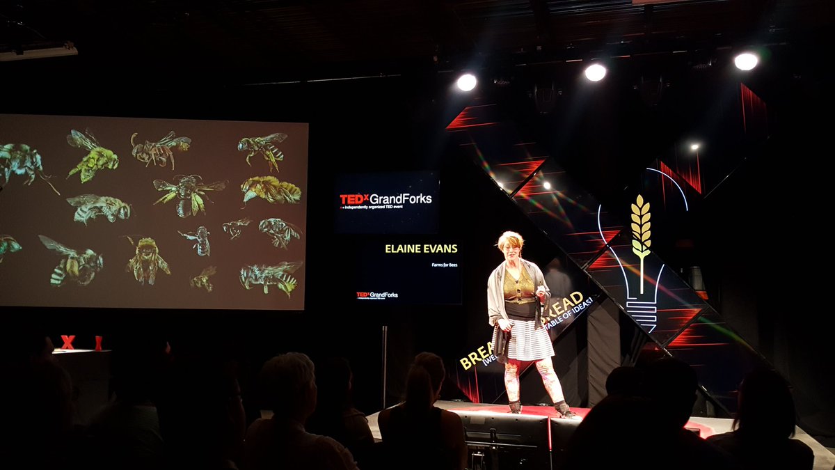 TEDxGrandForks tweet media