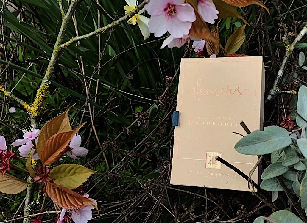 MFFragrance's tweet photo. Easter eggs ?!? #mikefrancois #fragrance #perfume #monaco #geneva #switzerland #highfashion #luxuryholiday #scent https://t.co/vyvOOMma4j