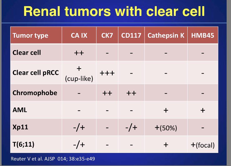 Megan Ketcham tweet media