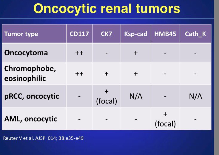 Megan Ketcham tweet media