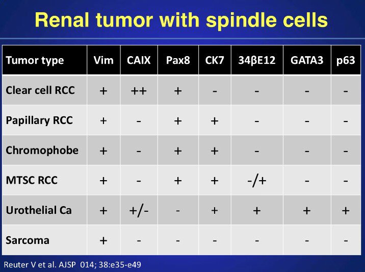 Megan Ketcham tweet media