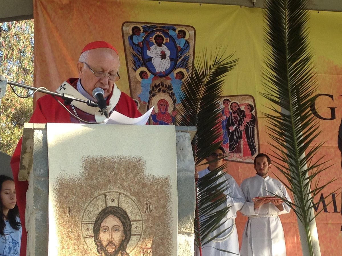 Iglesiastgo's tweet photo. Cardenal Ricardo Ezzati:" Este es un Sínodo que involucra a todos, sobre todo a ustedes los jóvenes los invitó a encontrarse con Jesús". https://t.co/B1LEmluYWC