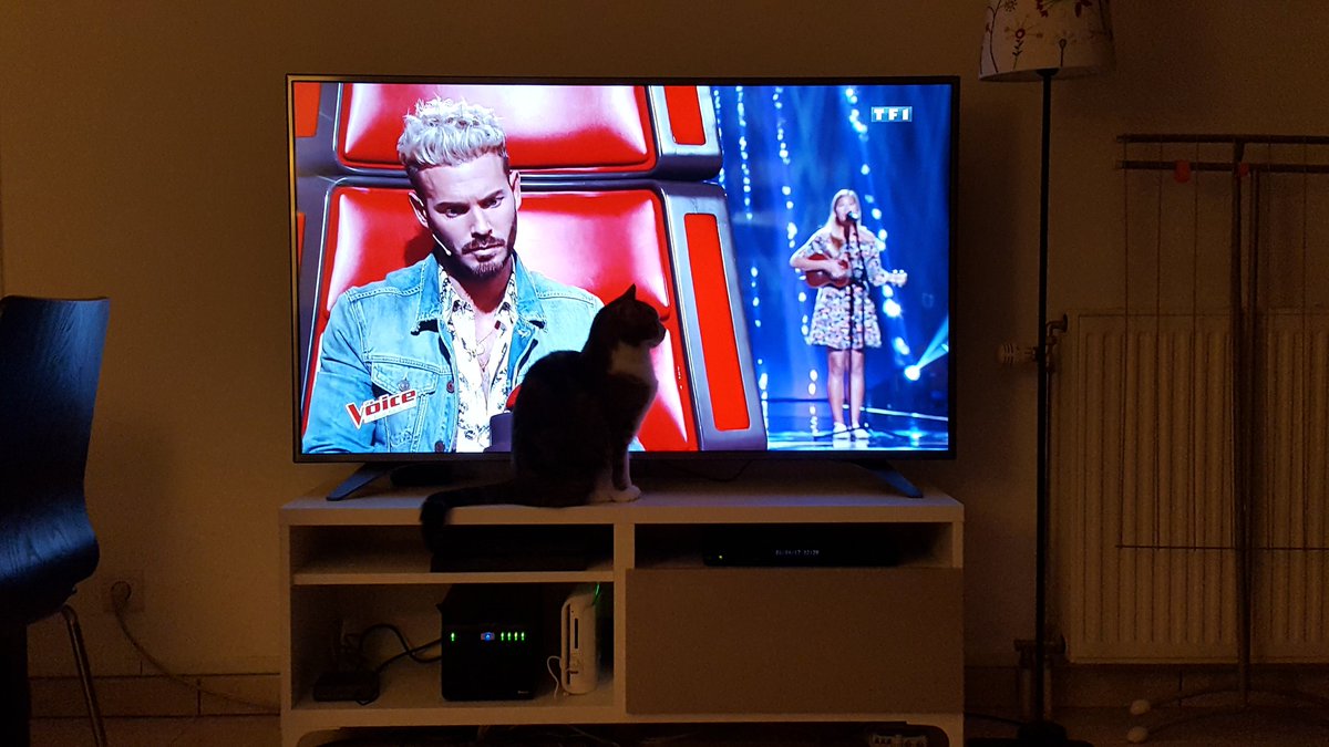 _miltown's tweet photo. @MPokora pourquoi tu regardes mon chat comme ça ? https://t.co/CZeCCUedwt