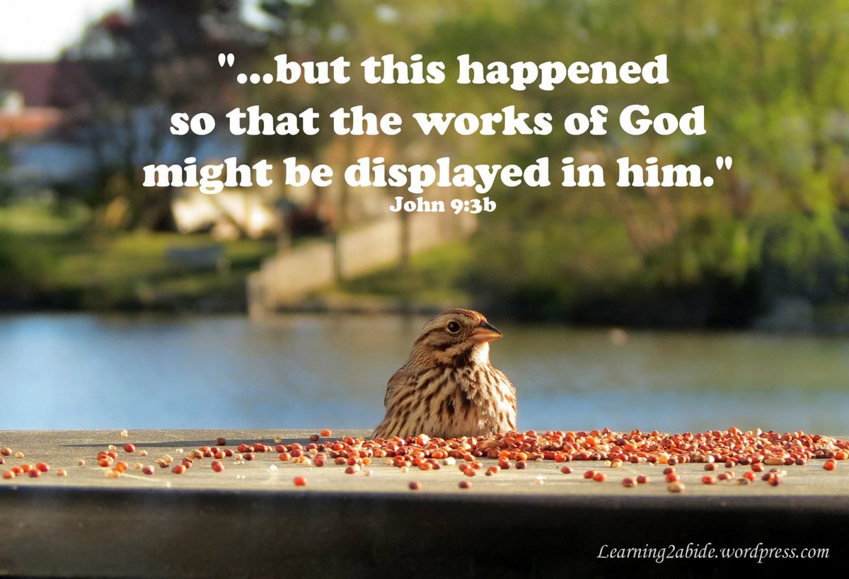 Learning2Abide's tweet photo. New blog at https://t.co/2h80ZNqTYA https://t.co/UbWOBGpmON