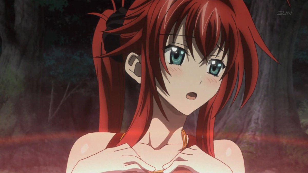 Rias 2024. Rias Gremory. DXD Риас.