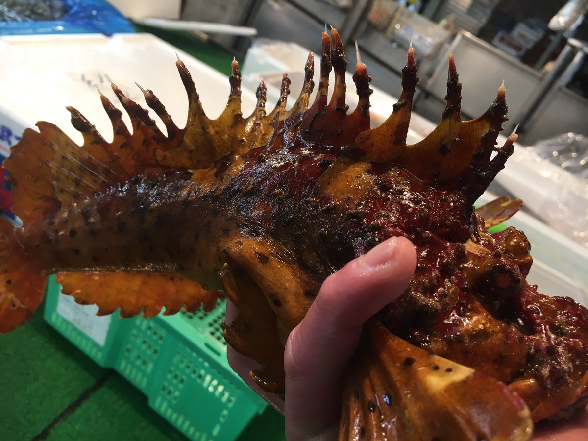 ট ইট র ｵｺｾﾞ হ য শট য গ