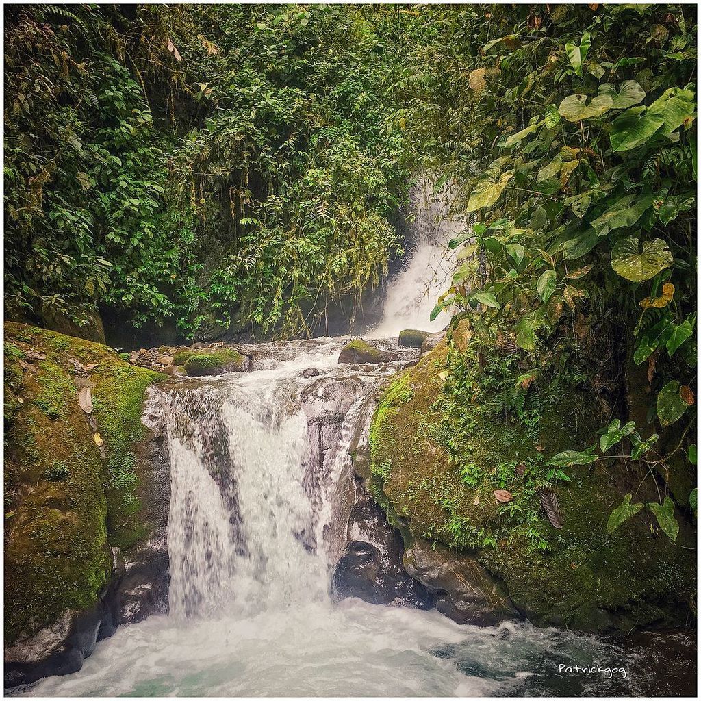 pattosar's tweet photo. Cascadas de Nambillo
#Mindo #Ecuador #AllYouNeedIsEcuador #iPhoneonly #ProyectoEcuador2017 https://t.co/N5KLVI0Q0K @patrickgog #FotoEc https://t.co/ber7PKbX4A