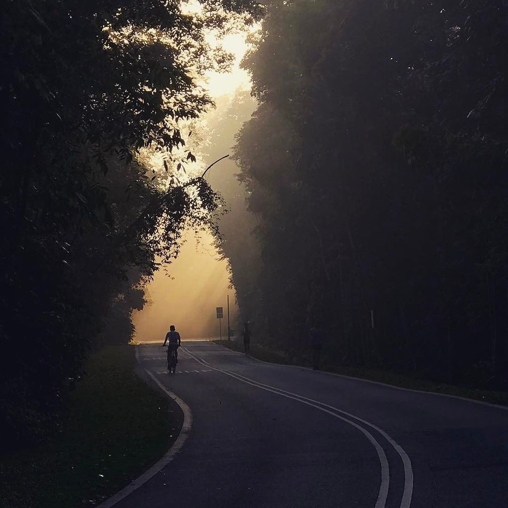 brainopera's tweet photo. Break of Dawn
#singapore #cycling #lightbro #SpecializedAWOL #workout #zendogs https://t.co/845ihrEESD https://t.co/PnpVGatHJ1