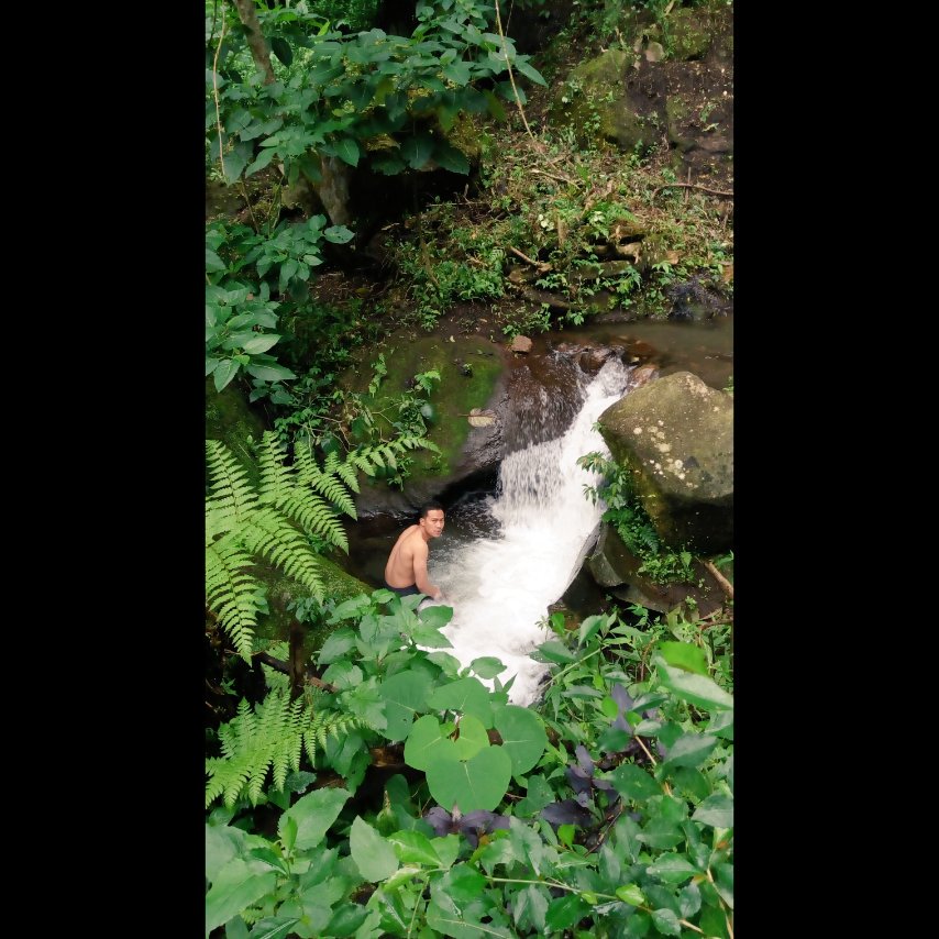 sidadamentokbks's tweet photo. ๐ท : Curug Cisuriang - Cipayung
๐ : IPUKAN, Kuningan - Jawa Barat
.
.
.
.
.
.
.
.
#VisitKuningan
#PesonaIndonesia
#ExploreCurug https://t.co/U2Yc0Ro6n3