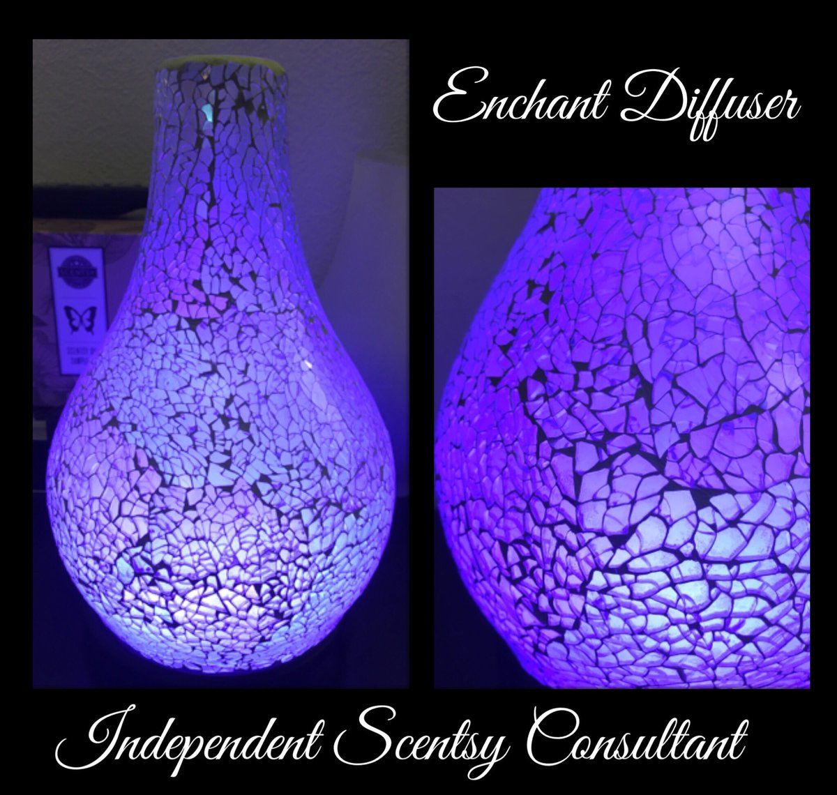 scentsyellie1's tweet photo. The Enchant Diffuser set to one colour and looking gorgeous! 😍 £159 with a lifetime warranty! #diffuser #scentsy #scentsydiffuser #scentsyuk https://t.co/HC8lSrMRYQ