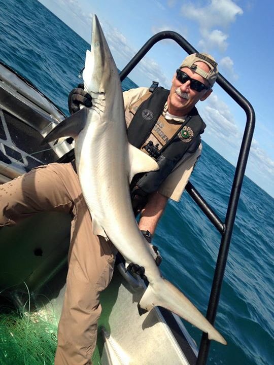TexasGameWarden's tweet photo. Cameron County Game Wardens removed approximately 4 mi of illegal long line from Gulf of Mexico near Boca Chica Beach. Many fish released. https://t.co/E6P0o5aS9T
