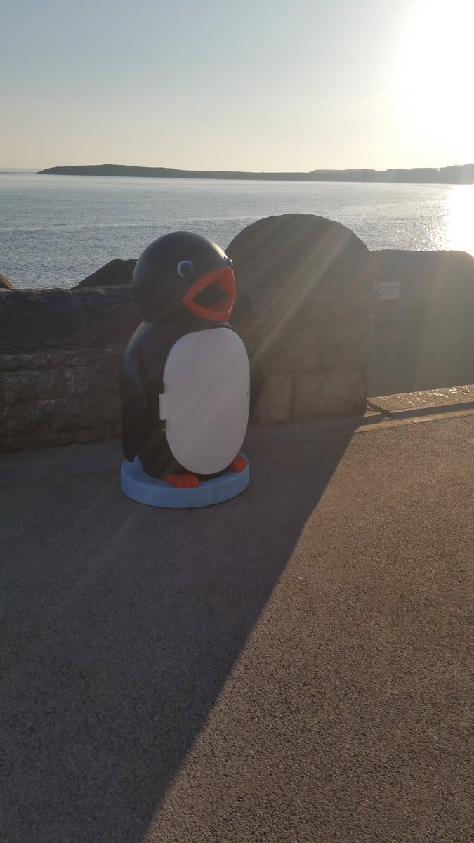 annamariev1's tweet image. #keepbarrytidy great to see these fun new bins at barrybados today.