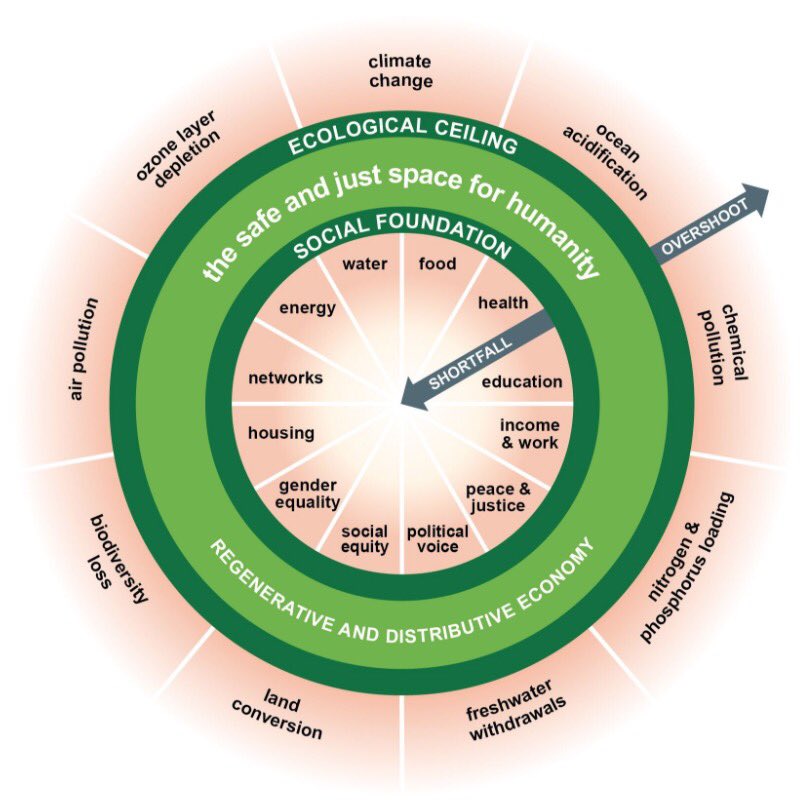 neurosocialself's tweet photo. Economics matters enormously for the future, but its fundamental ideas are centuries out of date says Kate Raworth https://t.co/RUvr9XlQ5i https://t.co/7oQ9Rqe4PM