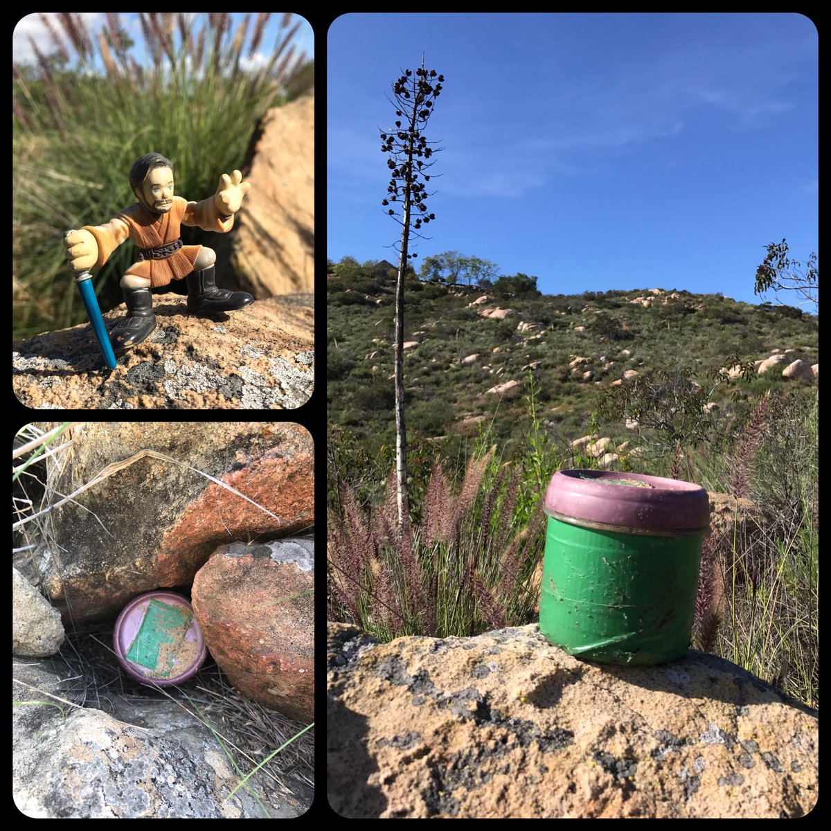 Roaming Relic tweet media