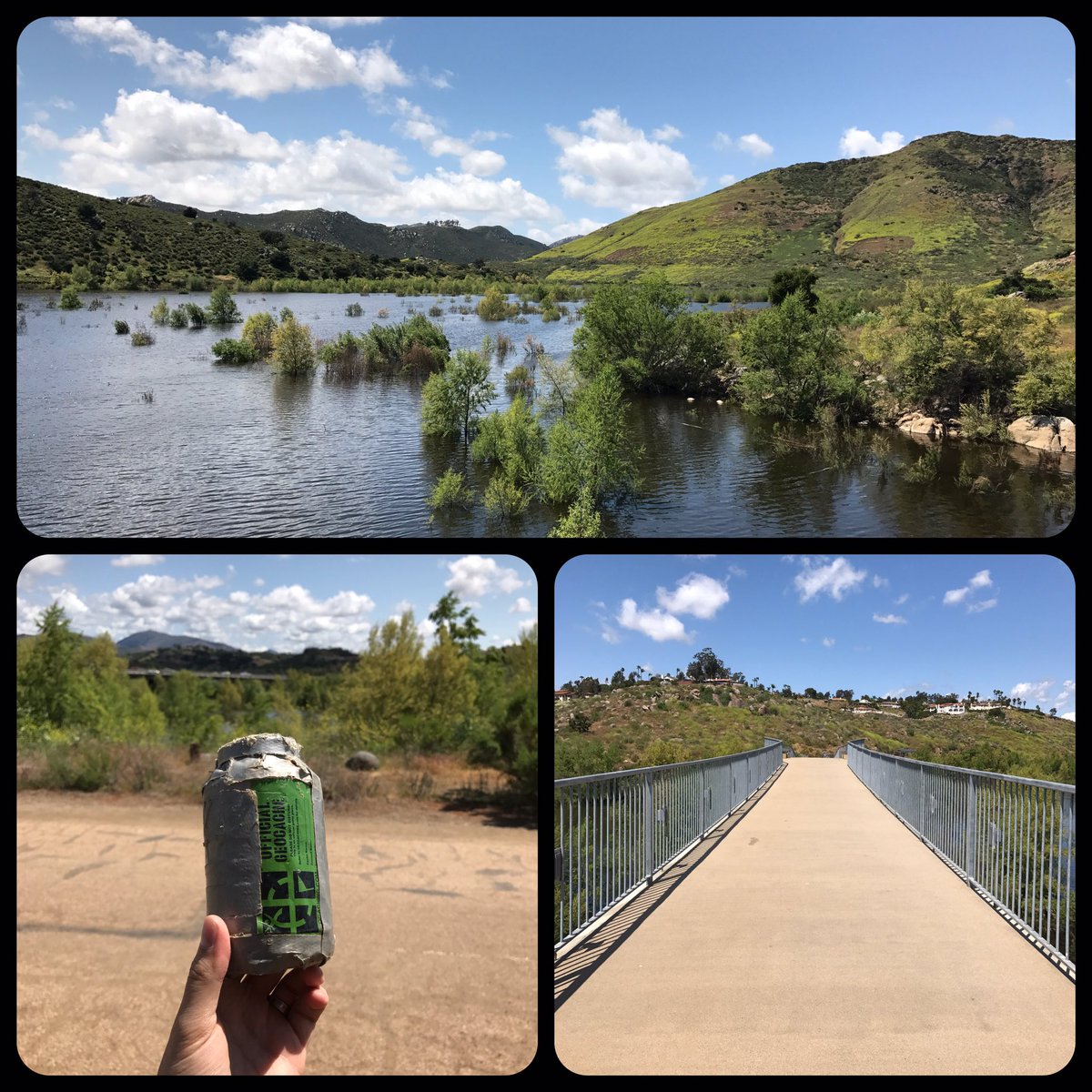 Roaming Relic tweet media