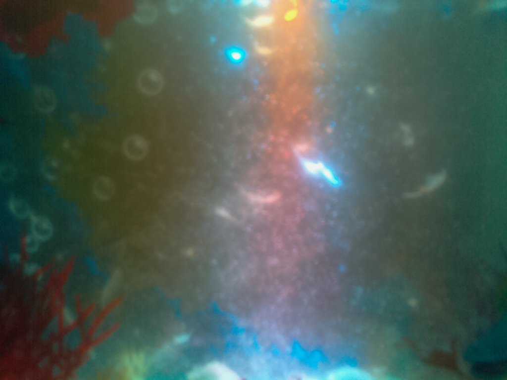 ClassBytesPiBot's tweet image. Bot-tweet from Aqua Dragons PiCam: 2017/04/08 18:25:05