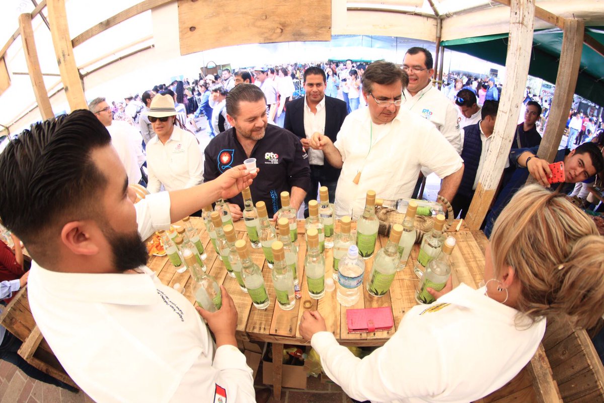 turismogobgente's tweet photo. Recorre @ferolivera09 y @ArturoEsper #FestivalDelMezcal @GtoSiSabe @SLP_Estado @octaviohaguilar https://t.co/CvFUEZ8PVV