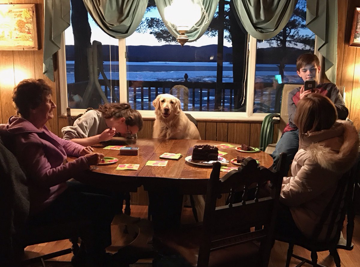 kris_eks's tweet photo. When your dog thinks she's a person:)) https://t.co/hwnqTBDY76