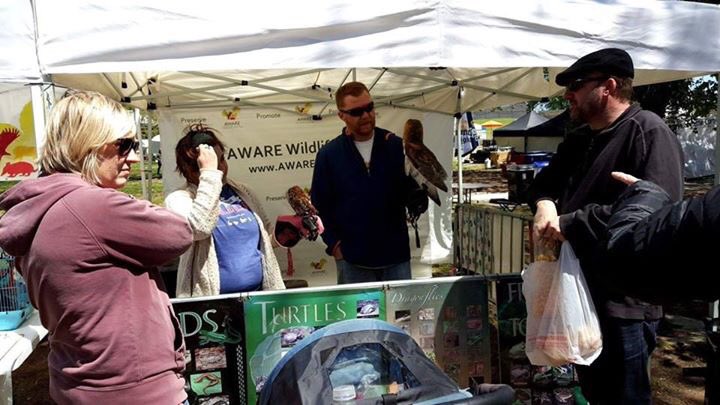 awarewildlife's tweet image. Come see us at the 81st Annual Atlanta Dogwood Festival in Piedmont Park tomorrow! #lovethewildlife #dogwoodfestival