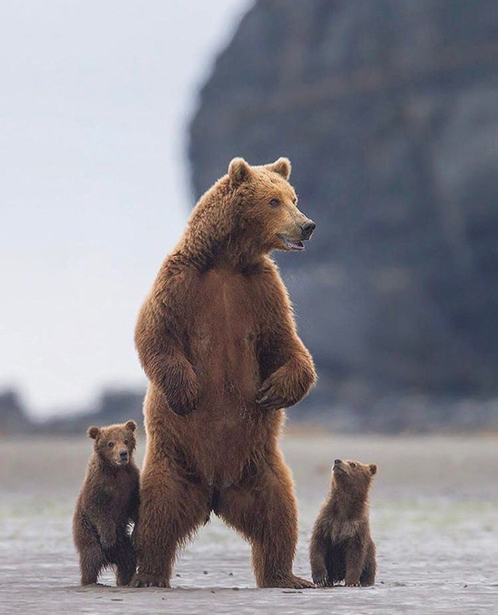 NatureOnPoint's tweet image. 