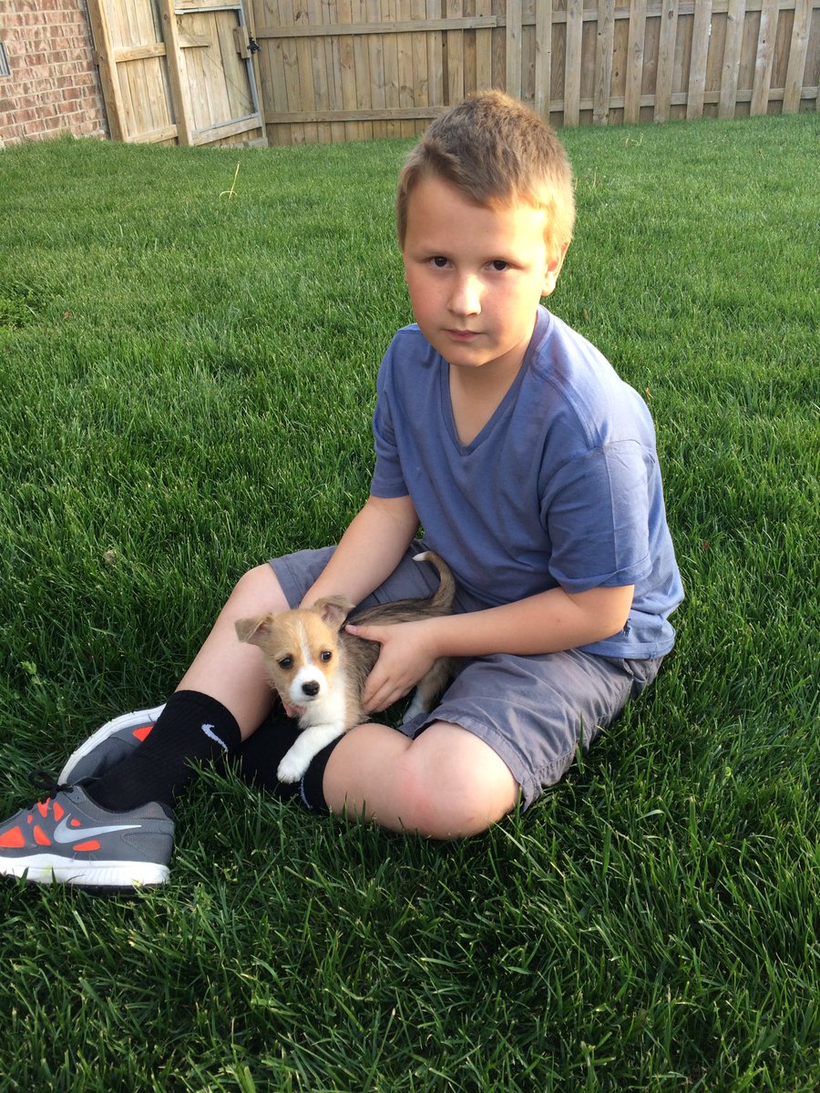 Boys got a dog today 🐶Wish us luck.