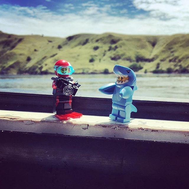 PADI's tweet image. When you can't go for a dive so pretending is the next best thing. 📷 by Instagram user 'karine_bg'