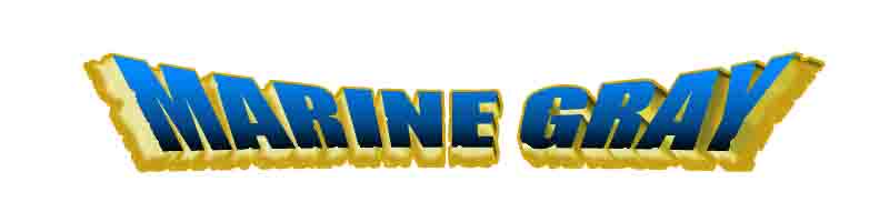 マリングレイ ロザリー氏がブログでドラクエ風ロゴの作り方を紹介 また別の方の記事 されてたので ちょっと興味を持って試しに作ってみた 私の名前だけどねｗ 何か買った時にバンドルされてた廉価版のフォトショでできました なるほど T Co