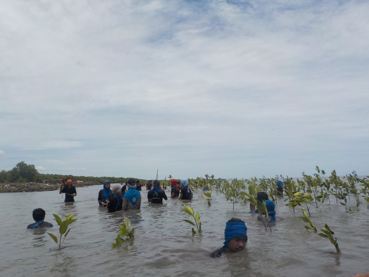WIRPALA_PPNP's tweet photo. 1 mangrove 1000 kehidupan pkd sulsel https://t.co/6dhqnGSdcf