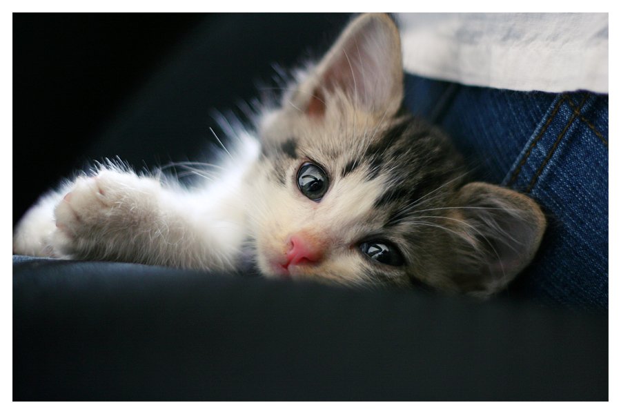 Enjoy your day my tweet heart's