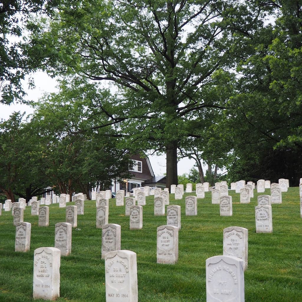mmalanis's tweet photo. Arlington National Cemetery
#unknownsoldier #tomb #memorial #cemetery #landscape #hill #field #travel #ipulledover… https://t.co/tthkogfNoz https://t.co/YzXYIJrdHE