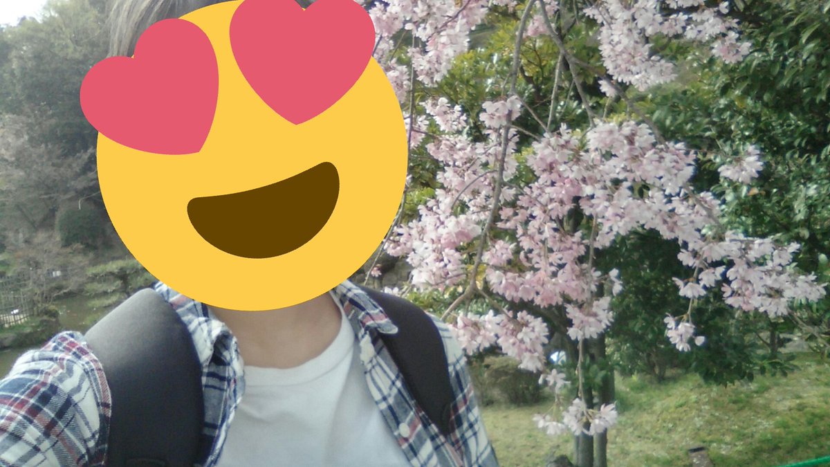 0326_0819's tweet photo. @cometet_star 友達と桜を見に行ったよ！とても綺麗だった！ https://t.co/659dR5V1dT