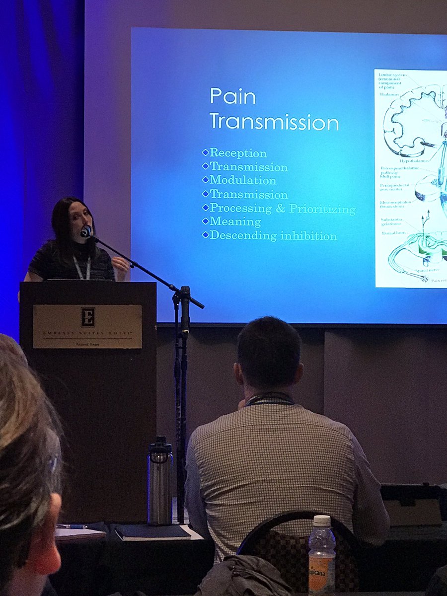 WSSPT's tweet photo. Attending @pacNWsymp excellent presenters! #PainManagement #backpain #expectations @JoshKiddPT @Jerry_DurhamPT @DianeLeePT https://t.co/y1InyAXrHL