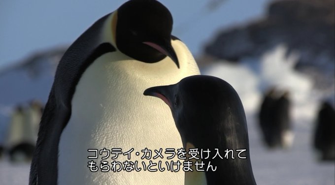 K3 Fgo残7 5 K3flick Twilog