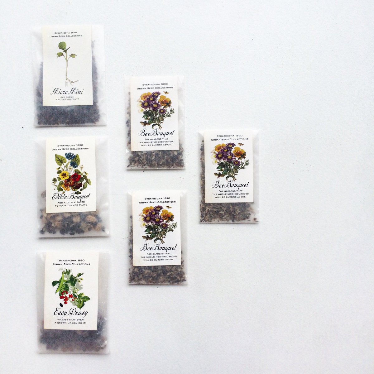 Considering plants, pollinators, and water today. New seeds for spring in the shop! Perfect for balconies and window boxes.