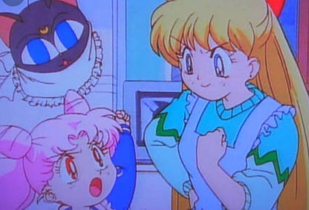 美奈子ちゃんとちびうさが月野家をお手伝い(破壊)するのにルナPボール