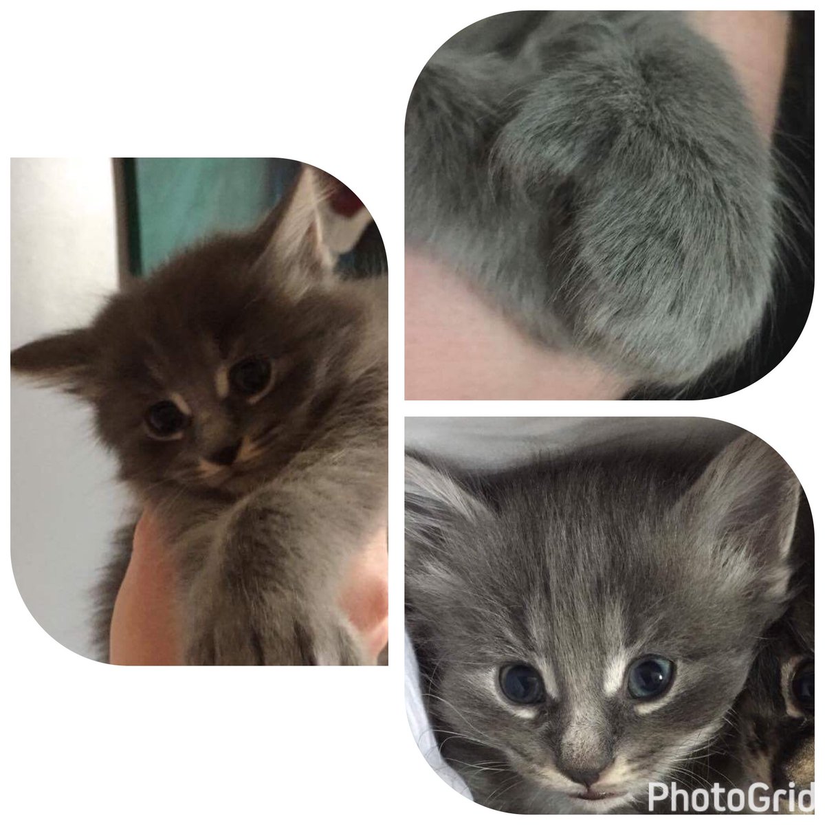 GeodiNadine's tweet image. ouuu can't wait for Wednesday 🙊🙈😍😍❤️❤️#ineednames #soprecious #dying #inlove #caaantwaaiiiittttt   @LynseyJulia #youretheBEST