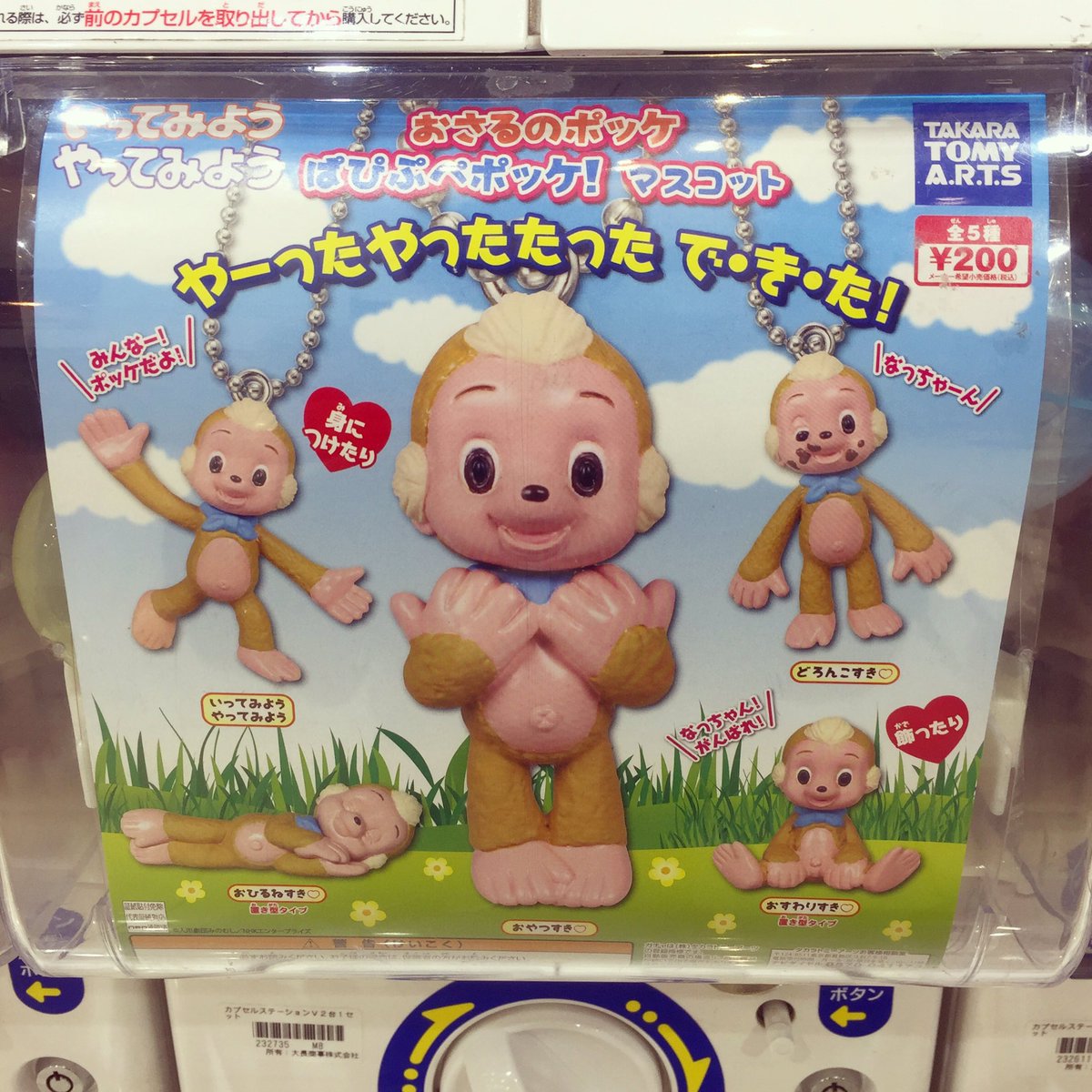 ぱぴぷぺポッケ Twitter Search Twitter