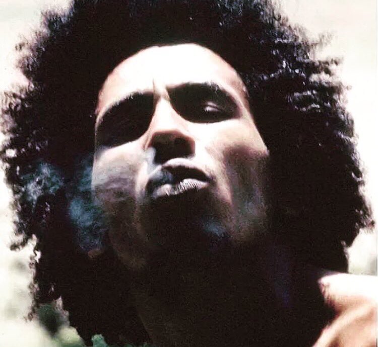 stephenmarley's tweet image. Get ready for @thekayafest "Music gonna teach them one lesson"