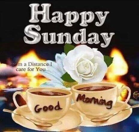 <a href="/SuzyDreams/">suzy dreams</a> 🌷🌴🌷🌴