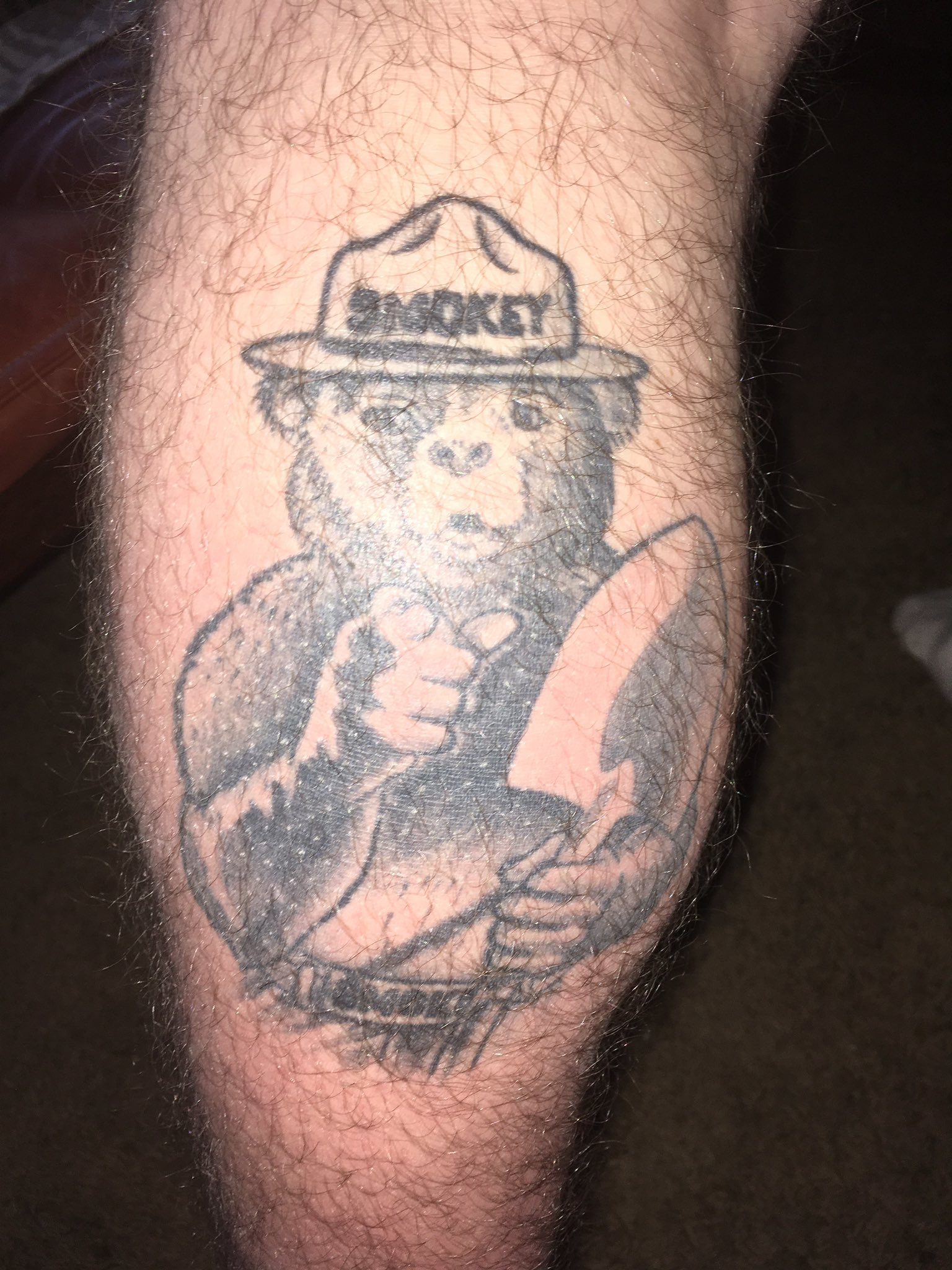 Ben Around Tattoos  Golden Books Smokey the bear in progress first sit By  ben  Facebook