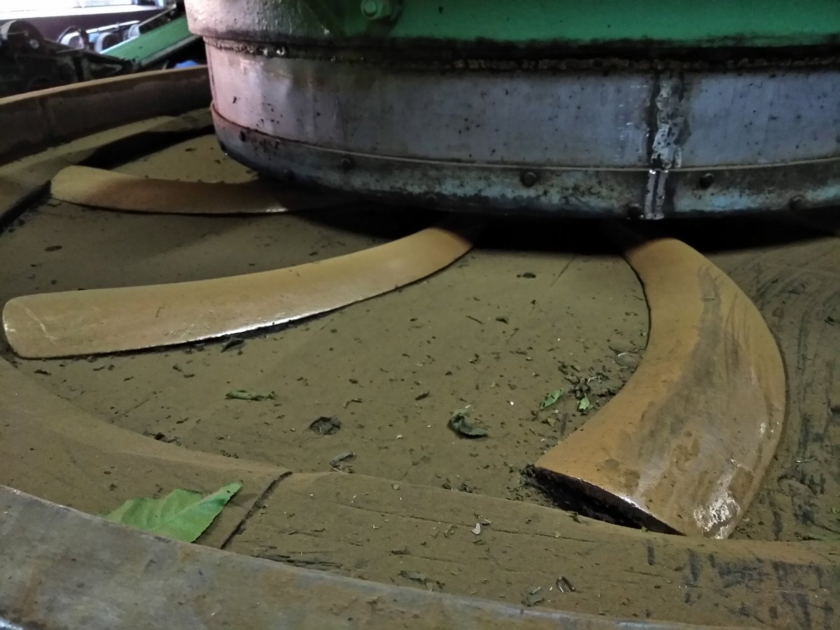 TeaScientist's tweet photo. The crescent battons of a tea rolling machine. This is what twists the tea leaf in a Darjeeling style orthodox tea process. https://t.co/wrXzpdgVDw