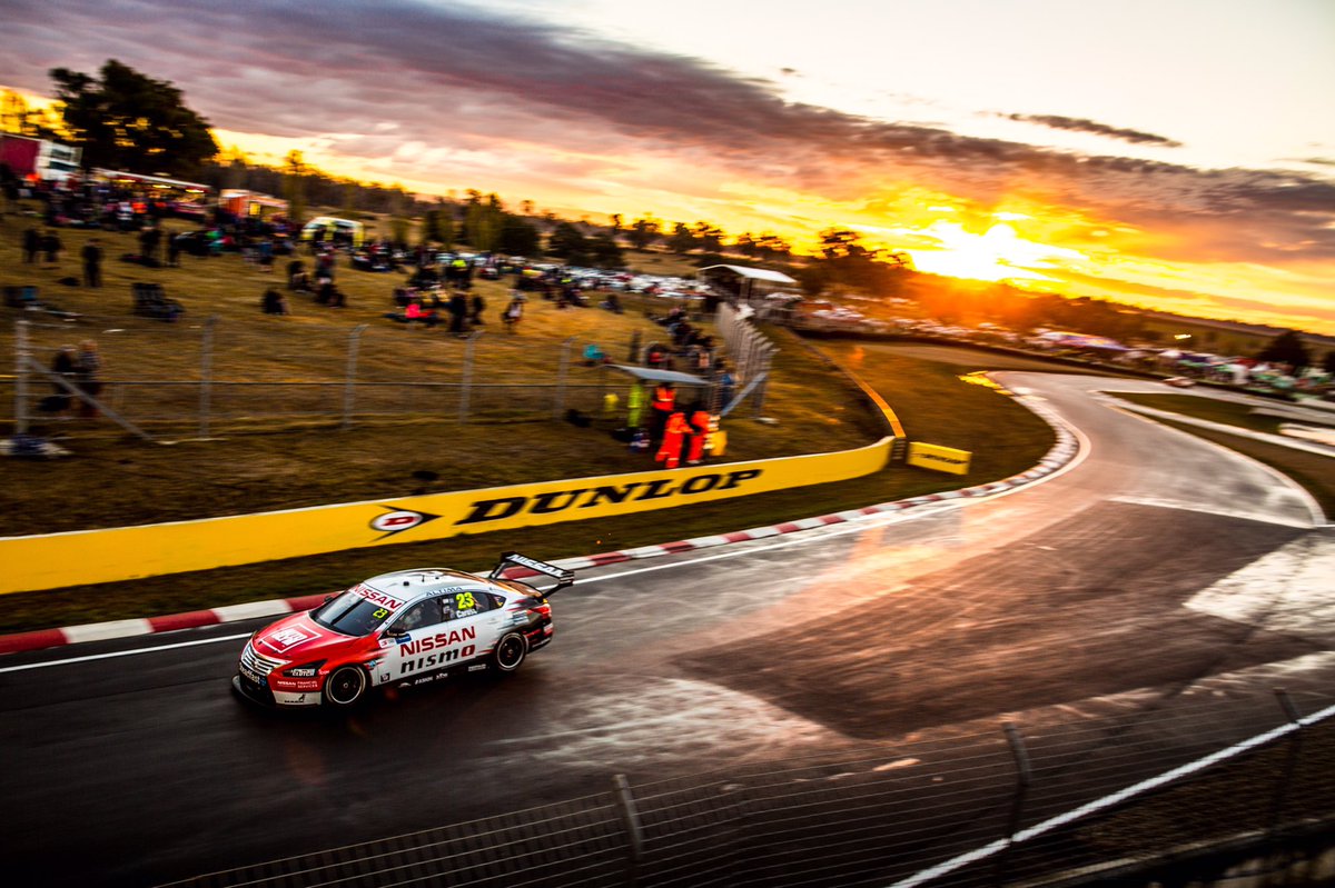 Michael Caruso tweet media